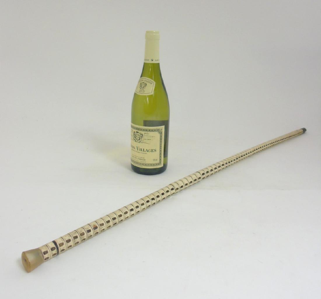 Walking Stick / cane - A sharks vertebrae cane with (1 of 5)