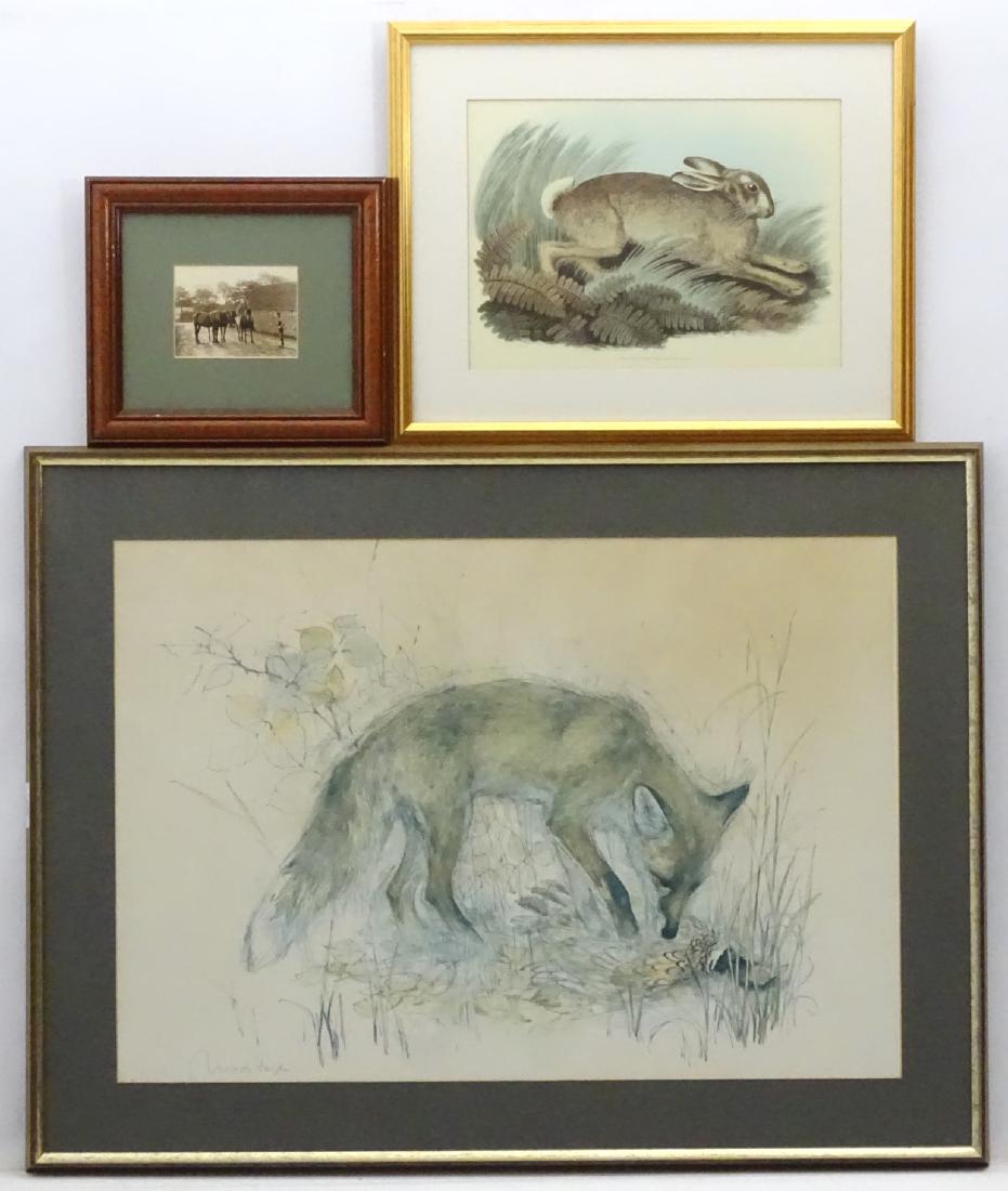 Shooting: After Mads Stage (1922), print, Fox with: Shooting: After Mads Stage (1922), print, Fox with Pheasant, After S Howitt, print, The Rabbit, Sepia photograph depicting 3 cart horses, The largest aperture 18 x 26. (3)