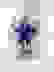 item-71564318=6