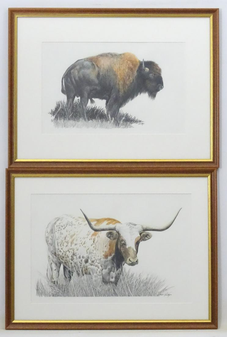 Rick Fry, 2000, American, Pencil and watercolour, a: Rick Fry, 2000, American, Pencil and watercolour, a pair, A Texas Longhorn bull / steer with red and white colour mix, & a bison or also known as an American buffalo, Both signed and dated lower right