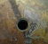 Militaria: an array of 20thC artillery and cannon shell - 2