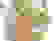 item-85429303=7