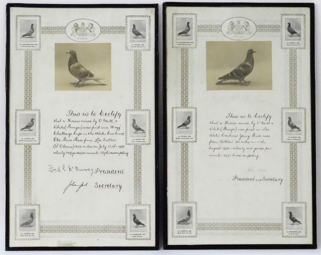 Two framed Pigeon Racing winner's certificates,: Two framed Pigeon Racing winner's certificates, pertaining to the 'Ulster Combine's Old Bird Race', dated 1931 and 1934, awarded to O'Neill & White of Bangor, with inset photograph of the winning bird
