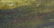 Indistinctly signed, XIX-XX, Oil on canvas, A wooded - 5