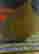 item-108303583=4