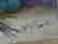 item-108303589=7