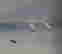 item-108303678=3