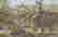 item-108303697=4