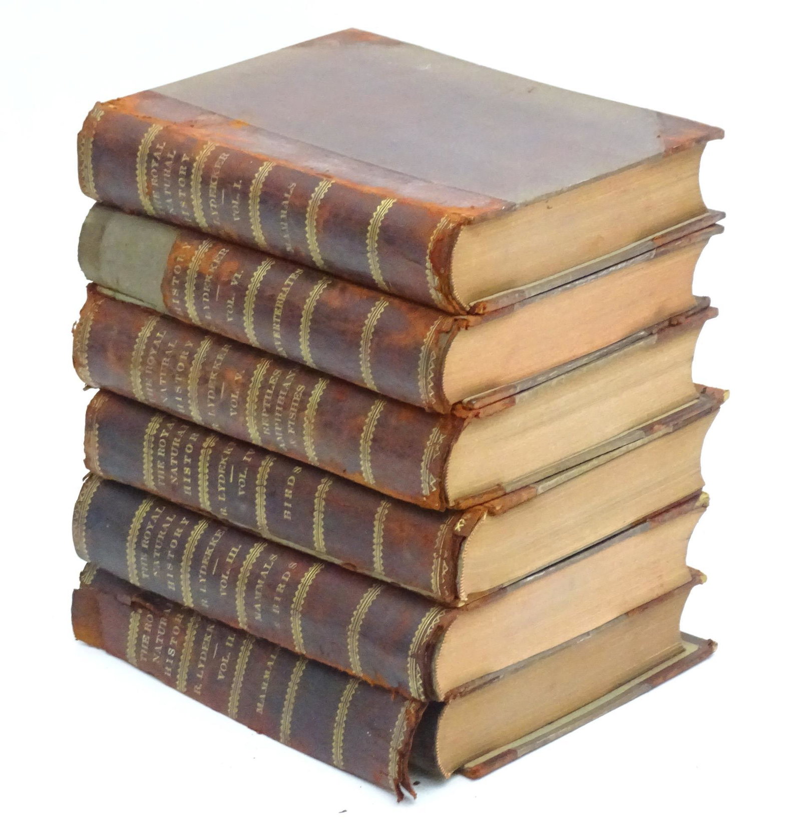 Books: The Royal Natural History, 6 volumes, edited by Richard Lydekker. Published by Frederick: Books: The Royal Natural History, 6 volumes, edited by Richard Lydekker. Published by Frederick Warne & Co. 1893-1894 (6)