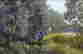 item-126658966=3