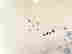 item-131268050=9