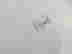 item-131268082=14