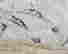 item-131269249=6