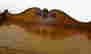 item-131269781=9