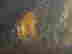 item-134000303=4