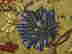 item-134000905=8