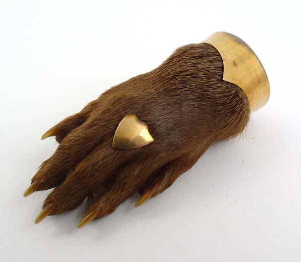 Taxidermy : a gold plated and mounted otters paw br: Taxidermy : a gold plated and mounted otters paw brooch with shield upon monogrammed 'J.E.M' 3 1/8" long
