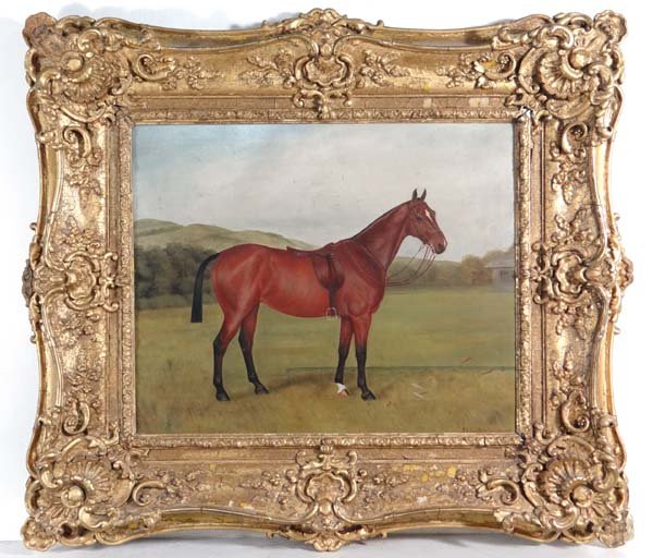A E D G Stirling-Brown XIX - XX Equestrian School Oil: A E D G Stirling-Brown XIX - XX Equestrian School Oil on canvas ' Comet ' portrait of a Polo Pony standing on a Polo Lawn with two Polo Mallets lying on the ground nearby. Signed lower right 15 x 18 1