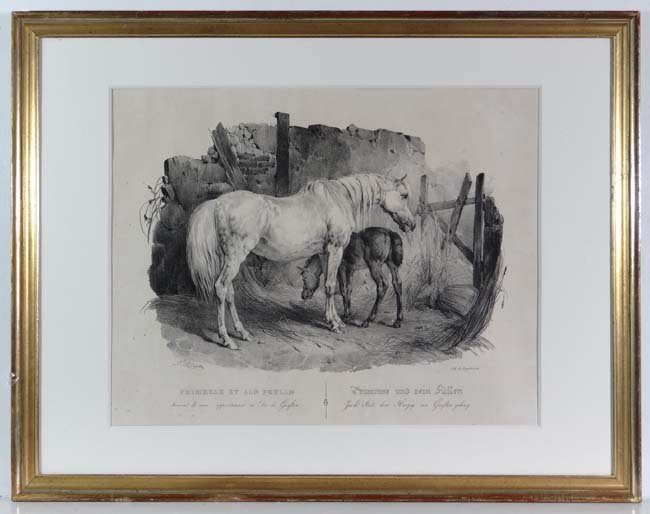 Gottfried Engelman after Victor-Jean Vincent Adam: Gottfried Engelman after Victor-Jean Vincent Adam (1801-1866) French Monochrome lithograph 'Primrose Et Son Poulin' ( mare and foal within in a stable ) 14 x 17 1/4"