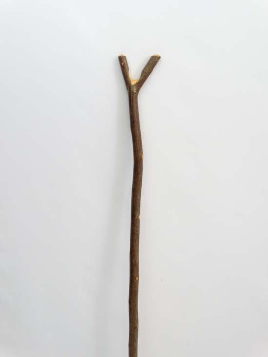 Thumb stick : A hazel shafted hand made stick with Y: Thumb stick : A hazel shafted hand made stick with Y shaped Thumb piece to top, measuring 53 '' long