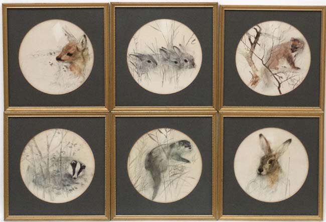 After Mad Stage, 6 x coloured print Tondos, Otter,: After Mad Stage, 6 x coloured print Tondos, Otter, rabbit kits , Fawn , leveret , badger and polecat, Some facsimile signed lower, Each approximately 7 5/8'' diameter