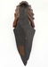 R Smaldite 1944 ? A carved hardwood figurehead with - 7