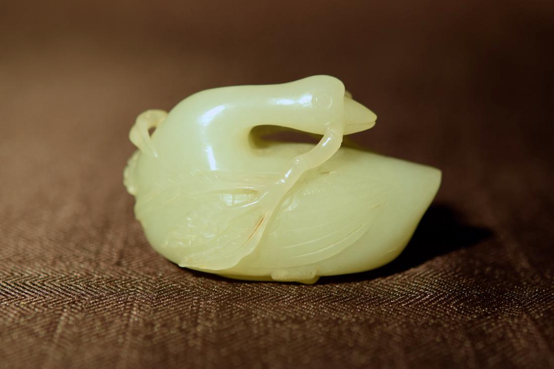 Chinese Jade Duck (1 of 5)