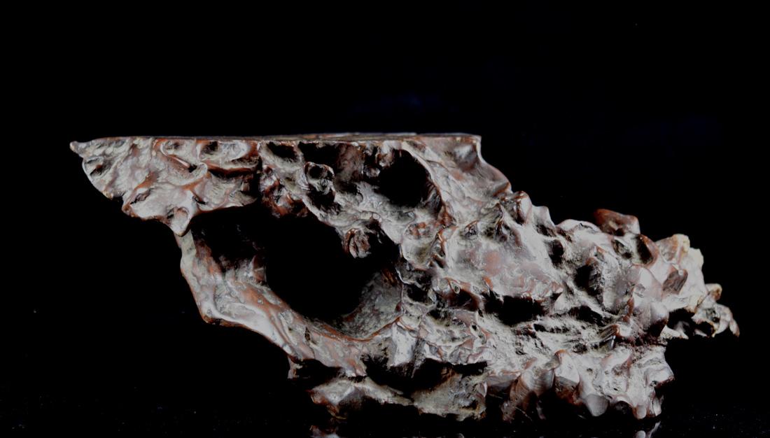 Chinese Scholar Burlwood Stand (1 of 6)