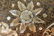 Large Chinese Round Lacquer Box with Mother of Pearl - 4