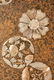 Large Chinese Round Lacquer Box with Mother of Pearl - 6
