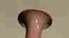 item-67154341=3