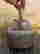 item-128006837=2
