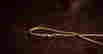 item-128006875=3