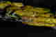 item-133627728=8