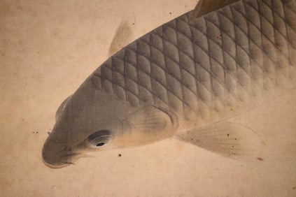 Japanese Scroll Painting of Koi