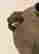 item-26972826=3