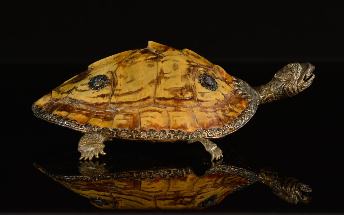 Sino Tibetan Silver Turtle (1 of 10)