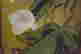 item-42533121=2