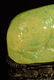 Chinese Green Glazed Porcelain Foolion with Hardwood - 3
