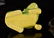 Chinese Green Glazed Porcelain Foolion with Hardwood - 8
