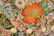 Pair Chinese Porcelain Garden Seat with Milifloral - 4