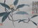 Chinese Painting Albumn Study - 5