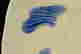 item-45775239=3