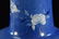 Chinese Powder Blue Porcelain Vase with Floral Scene - 6