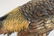 Japanese Mixed Metal Pheasant with Burl Wood Base - 7