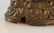 Tibetan Nepal Bronze Seated Buddha - 7