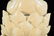 Chinese Blanc de Chine De Huw Porcelain Seated Buddha - 10