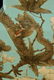 Chinese Famille Rose Porcelain Square Double Gourd Vase - 3
