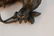 Chinese Bronze Foolion Censer with Ball - 5