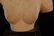 Southeast Asian Sandstone Bust of Half Torso - 3
